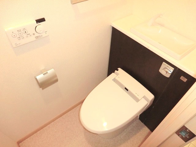 Toilet. Reference photograph