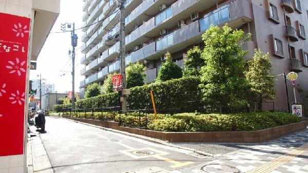 Local appearance photo. A quiet residential area surrounded by greenery