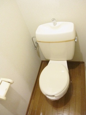 Toilet. It is a toilet with a space in depth! 