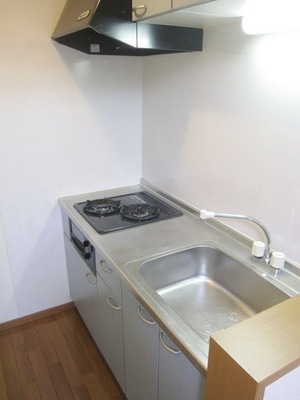 Kitchen. You width of dishes is spread in the two-burner stove