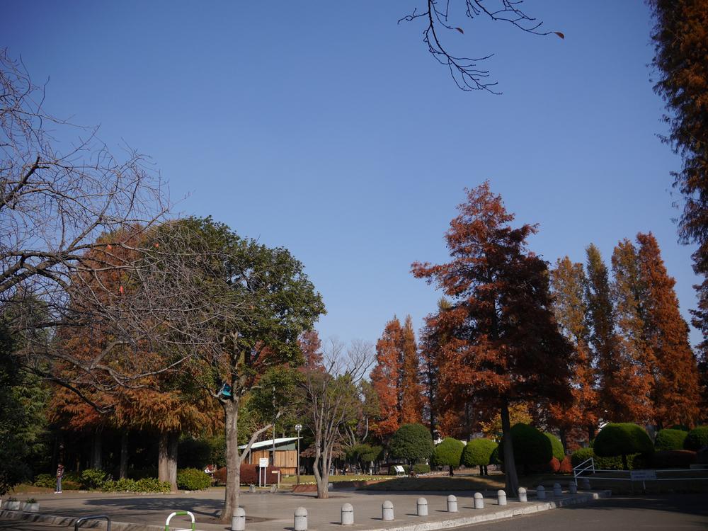 Other. There is also a neighborhood of Bessho is marsh park children play playground equipment