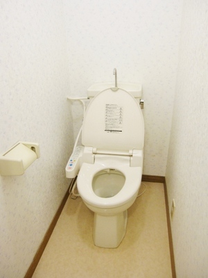 Toilet. Bidet