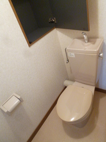 Toilet. Toilet with storage space