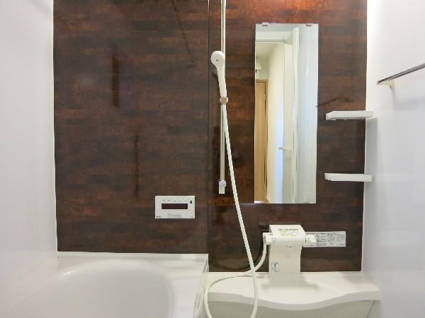 Bathroom. Spacious size of the tub. Bathroom of color ring to settle. 