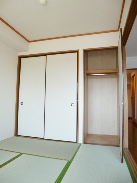 Other room space. Also it comes with other closet closet