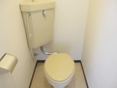 Toilet. It is spacious toilet