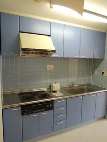 Kitchen. System kitchen facilities