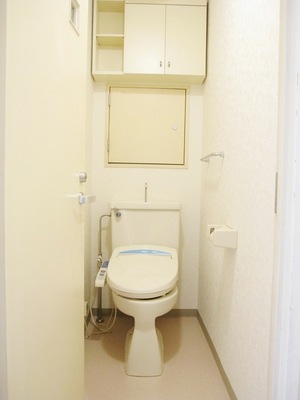 Toilet. Storage depth in fulfilling loose