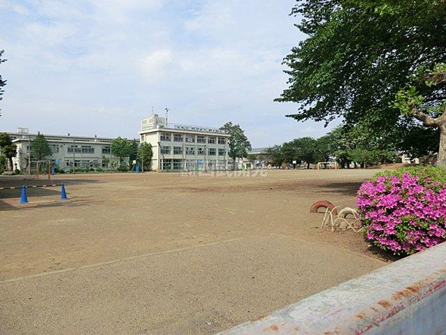 Primary school. Hariketani until elementary school 540m