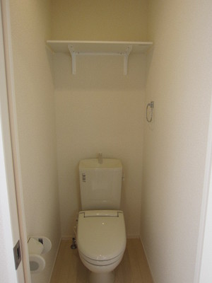 Toilet. You can accommodated with a shelf!