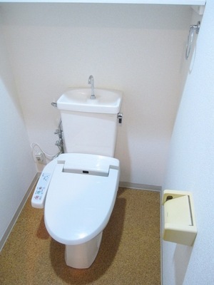 Toilet. Storage also is secured toilet with a space