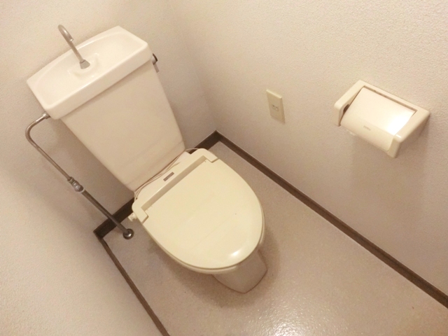 Toilet. Reference photograph