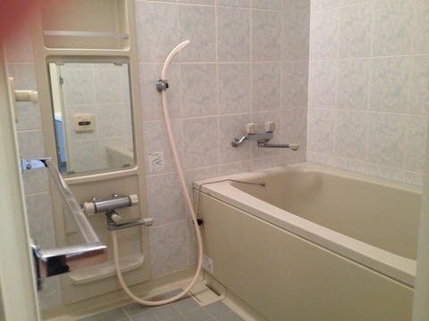 Other. Bathroom (add 炊可, With dryer)