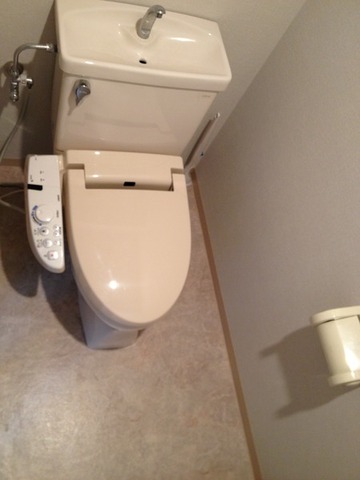 Other. Toilet