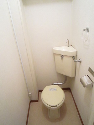 Toilet. Clean toilet