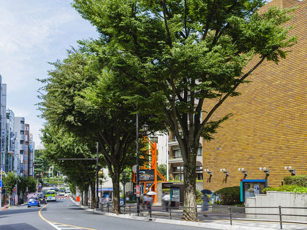 Surrounding environment. Prefectural Government Street (about 60m ・ 1-minute walk)