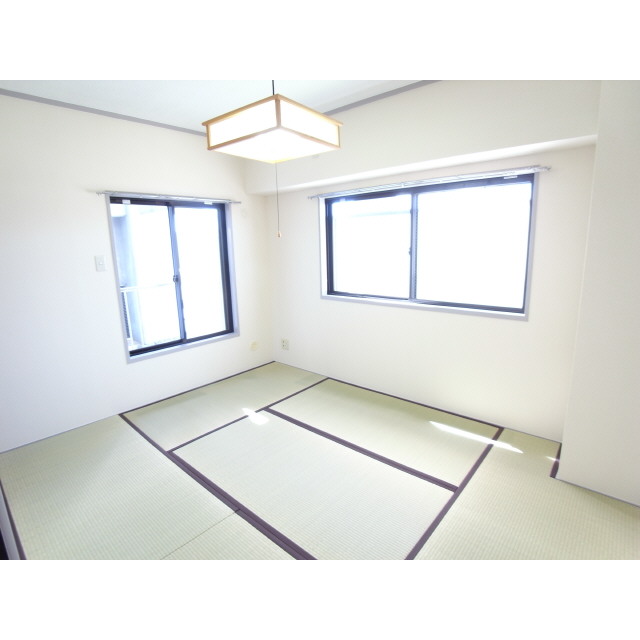 Other room space. Japanese style room