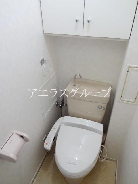 Toilet. Equipped shelf also there is also a storage-friendly toilet supplies