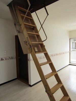 Other Equipment. On top of the ladder comes with Grenier storage