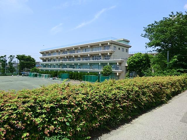 Junior high school. Motobuto 1800m until junior high school
