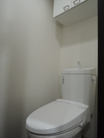 Toilet. There is a shelf in warm water washing toilet seat and the top.