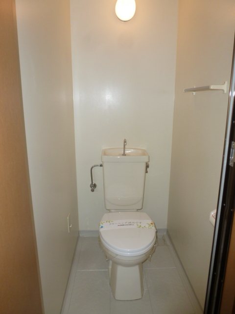 Toilet. Spacious spacious toilet