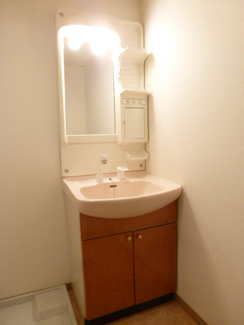 Washroom. Independent wash basin with shampoo dresser