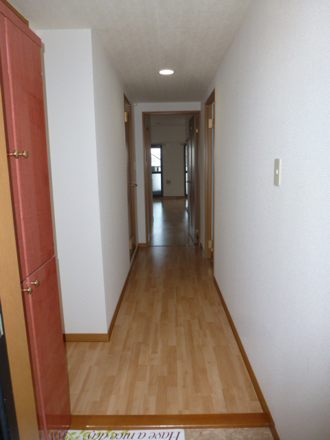 Entrance. It is spacious space with entrance hall