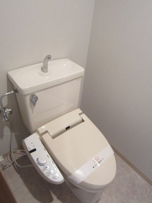 Toilet. Toilet