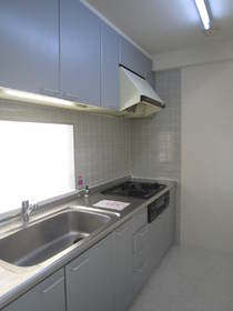 Kitchen. With system Kitchen