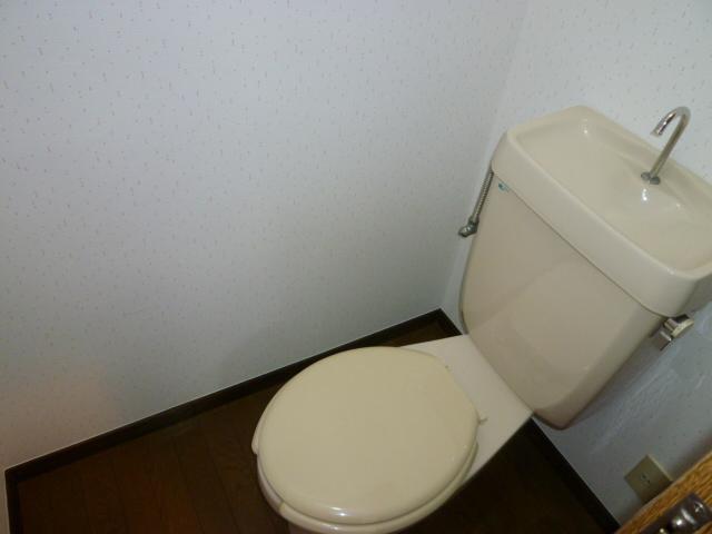 Toilet. Toilet