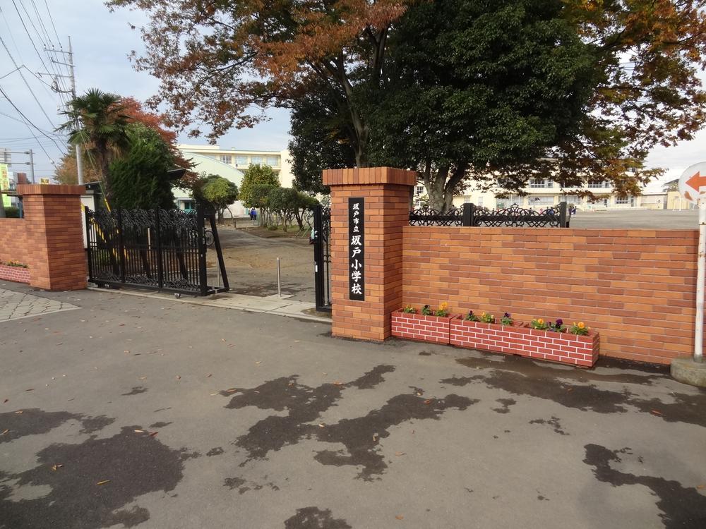 Primary school. Sakado elementary school