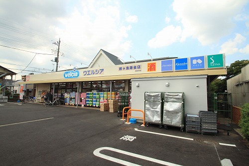 Dorakkusutoa. Uerushia Tsurugashima Fujigane shop 626m until (drugstore)