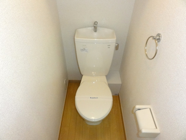 Toilet. Warm water washing toilet seat equipped! 