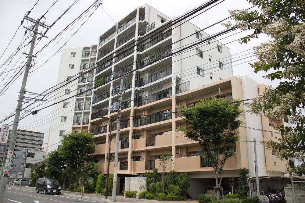 Local appearance photo. Local (June 2013) Shooting