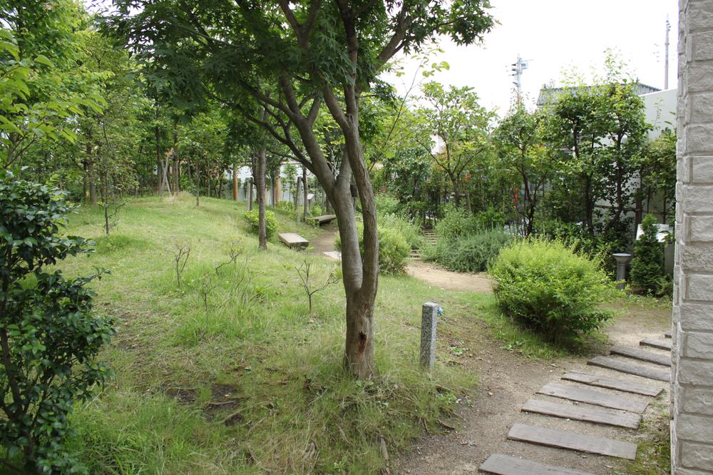 Other common areas. courtyard ・ Forest of acorns