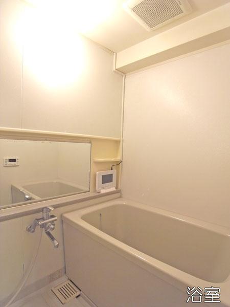 Bathroom. Indoor (June 2013) Shooting