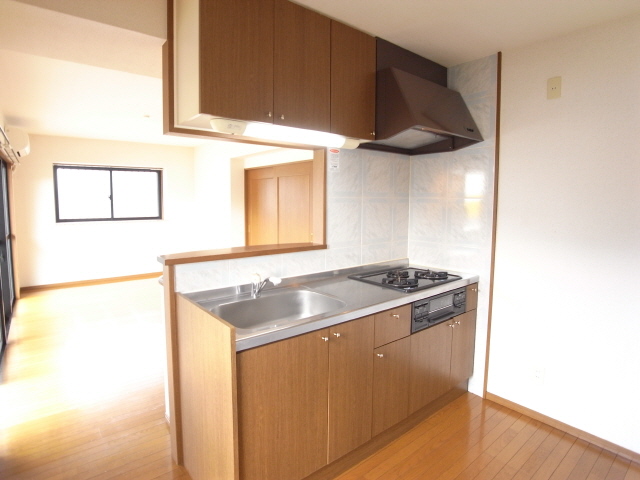 Kitchen. City gas