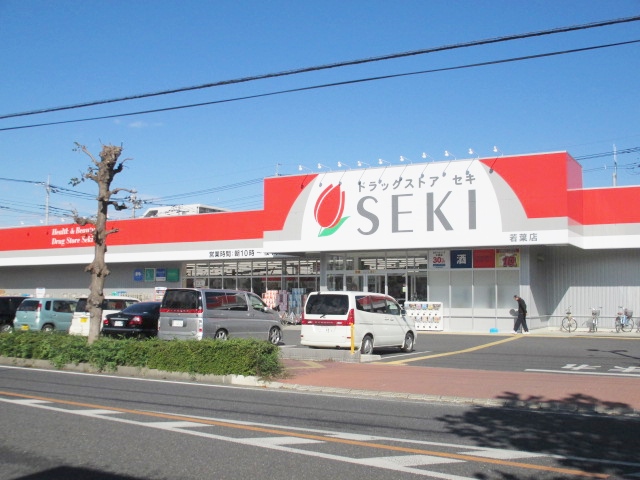 Dorakkusutoa. Drugstore cough young leaves shop 1230m until (drugstore)