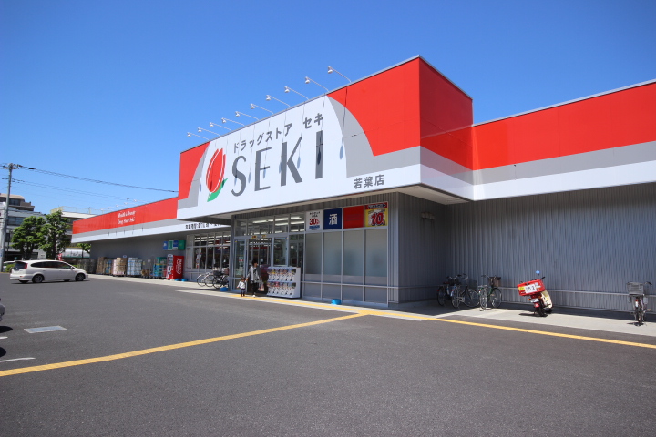 Dorakkusutoa. Drugstore cough young leaves shop 1052m until (drugstore)