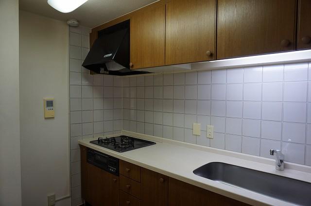 Kitchen. Indoor (10 May 2013) Shooting