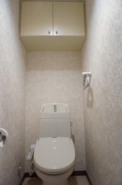 Toilet. Indoor (10 May 2013) Shooting