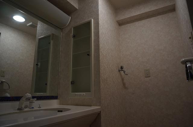 Wash basin, toilet. Indoor (10 May 2013) Shooting