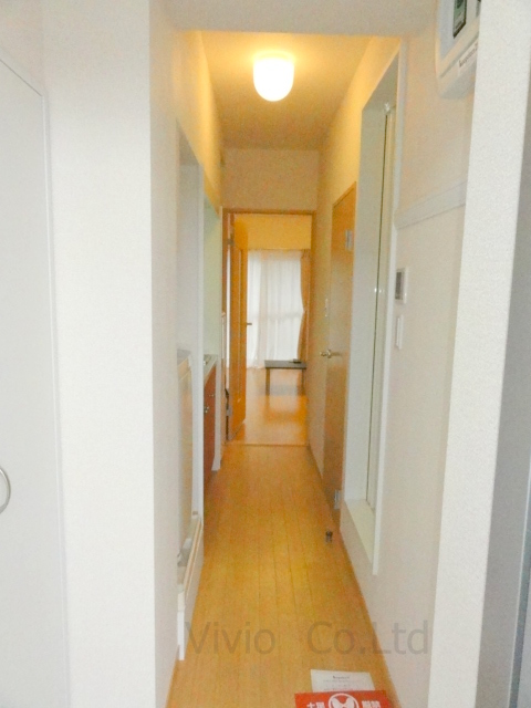 Entrance. Corridor seen from the entrance.