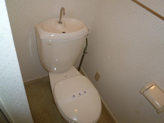 Toilet. Toilet