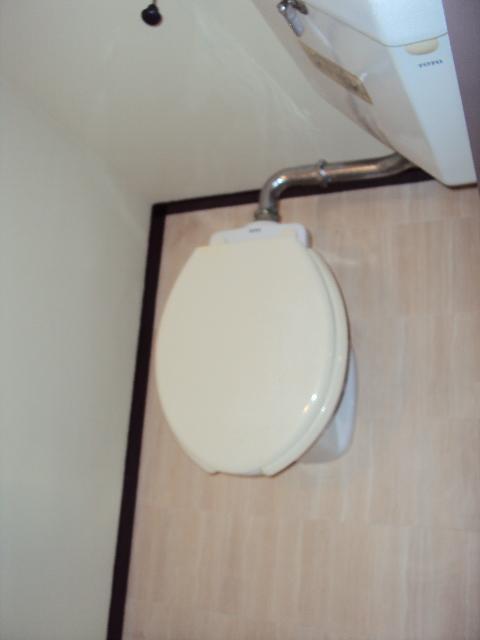 Toilet. Toilet