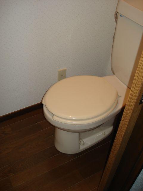 Toilet. Toilet