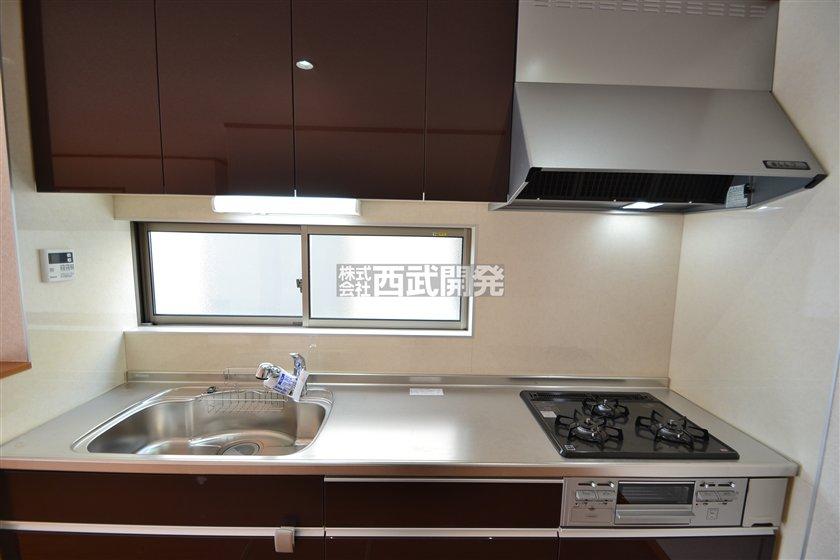 Kitchen. Indoor (11 May 2013) Shooting