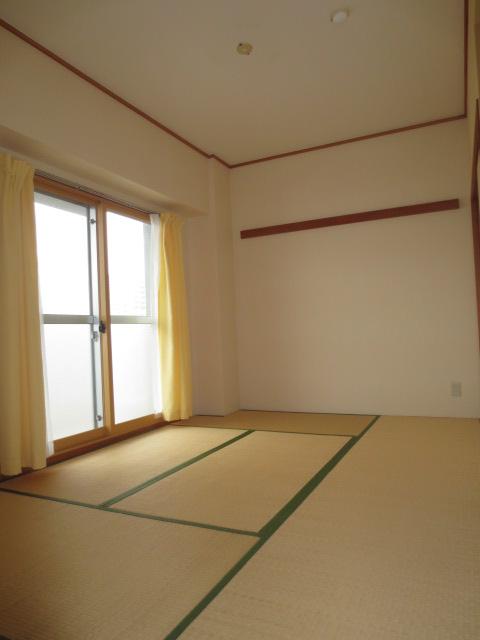 Other introspection. Indoor (April 2013) Shooting