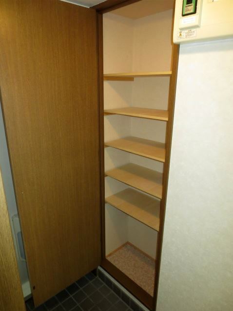 Entrance. Shoe box